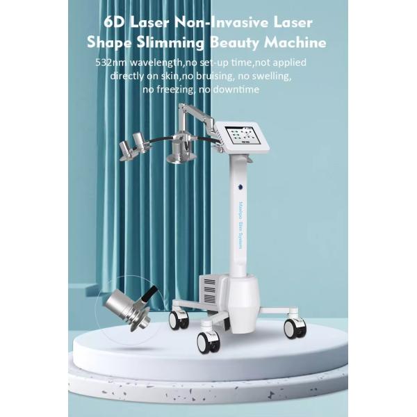 6D Red Light Laser 532nm Wavelength Weight Loss Beauty Machine For Fast Fat Reduce