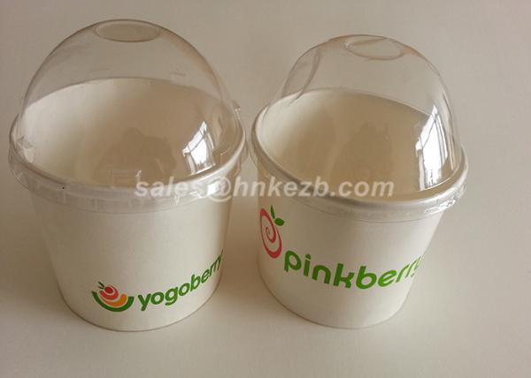 White Disposable Ice Cream Cups With Lids And Spoon For Frozen Yogurt
