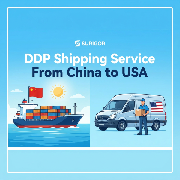 Customs Clearance Express LCL Services DDP High Speed LCL Shipping Service