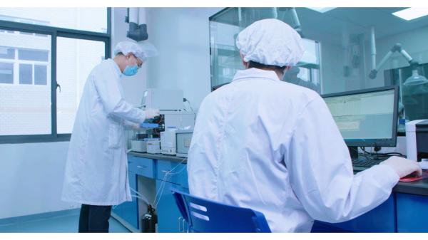 25 kg de amido solúvel CAS 9005-84-9 e uma opção competitiva para o seu negócio