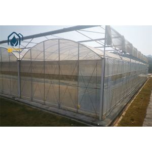 10mm Multi-Wall Polycarbonate Covered Greenhouse with Anti-Condensation Coating.