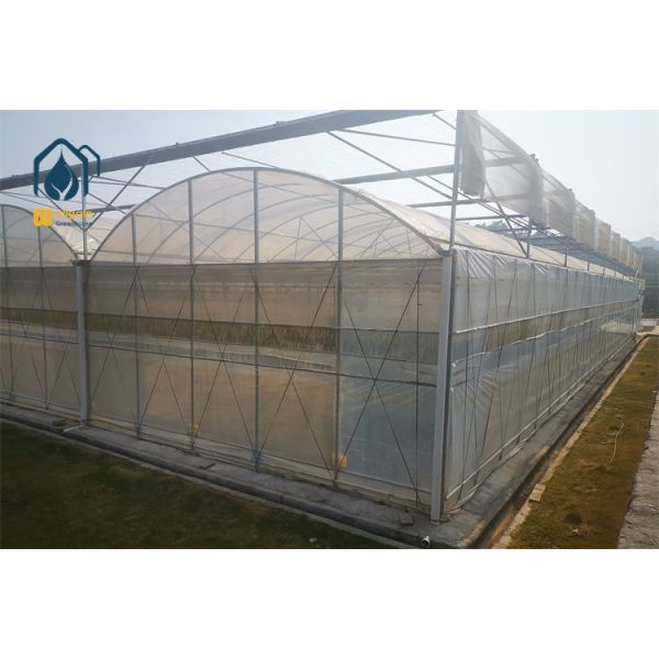 10mm Multi-Wall Polycarbonate Covered Greenhouse with Anti-Condensation Coating...