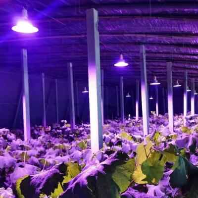 Samsung LED Tipo Espectro Completo Luz de Crescimento para Estufas 36w 45w 50w E27