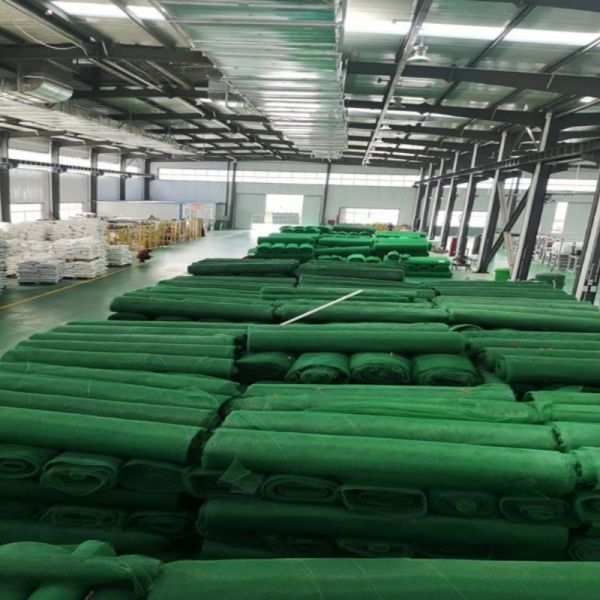 Heavy Duty Geonet for Coastal Protection Embankment Reinforcement and Wave Impact Resistance