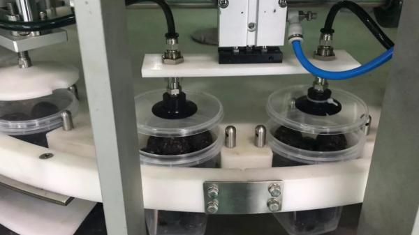 Multihead VFFS Packing Machine PLC Control For Noodle Products