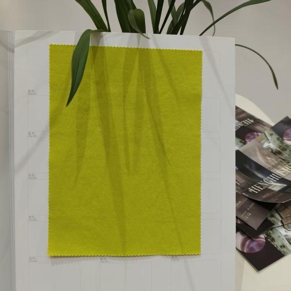 Thin And Breathable 100% Nylon Fabric 169GSM Nylon Dress Fabric