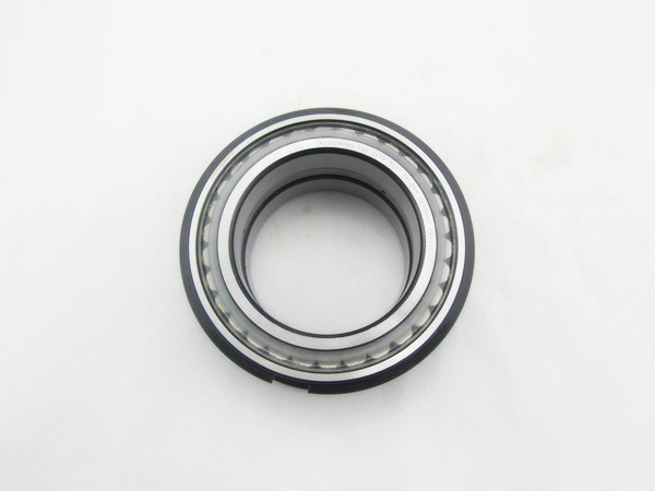SL045007PP High Precision Roller Bearing Stainless Chrome Carbon Steel