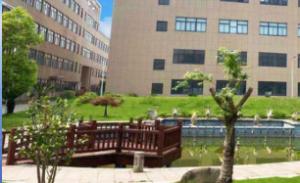 Zhejiang Yangyang Packing Co., Ltd.