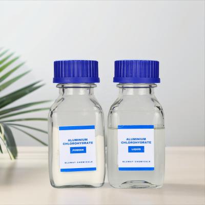 NSF Certified Aluminum Chlorohydrate ACH 23-25% Water Treatment