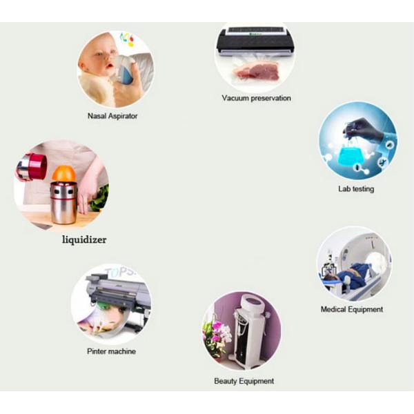 Battery Operated Brushless Diaphragm Pump PWM Adjustable Speed With DC Motor