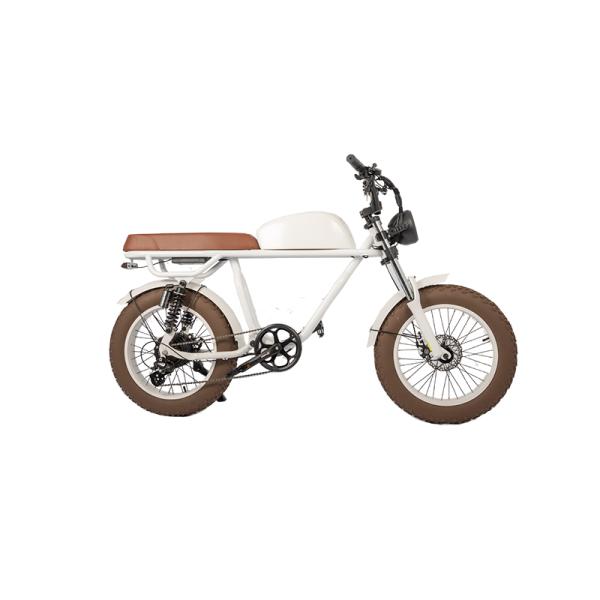 Retro Vintage E-Bike with 500W Bafang Rear Hub Motor Electric Bike OEM Wholesales Bike