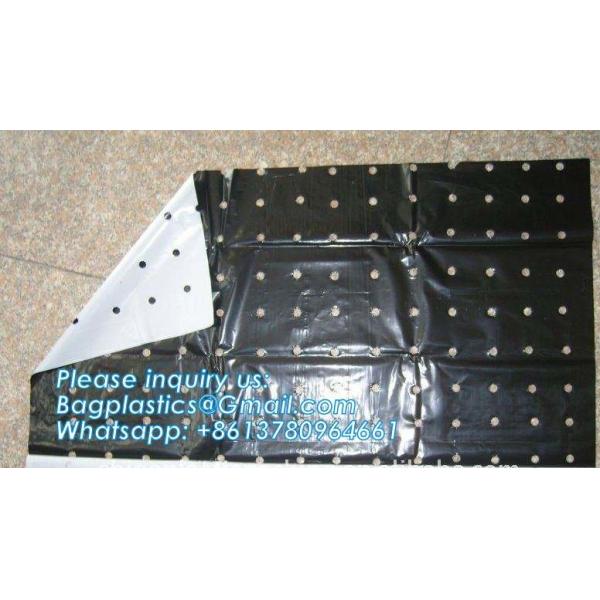 Transparent Low Tunnel Film Perforated For Culture Of Seedling Maturing Vegetables perforated red plastic mulch