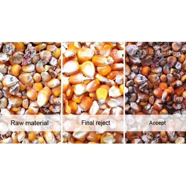 Mini Maize Wheat Color Sorter Machine Multifunction 1 Chute Sorting