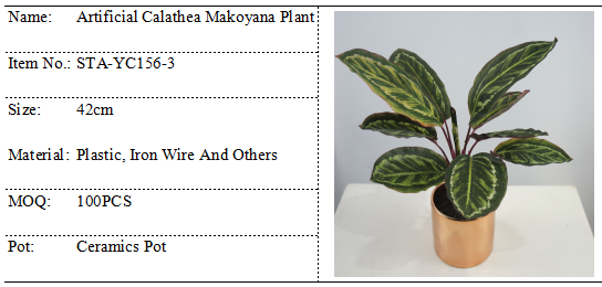 Natural Looking Small Calathea Faux Monstera Plant 42CM Bonsai With Ceramics Pot