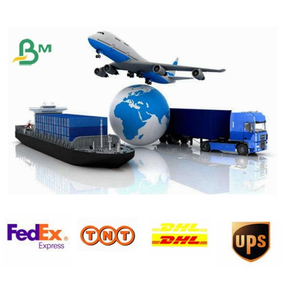 Основанная волокном Пре Вашабле текстурированная бумага Крафт для заводов растет бумага 0.55мм