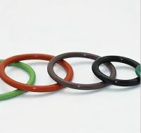 Étiquette de caoutchouc standard G FKM pour les joints C / S dépend de la demande du client