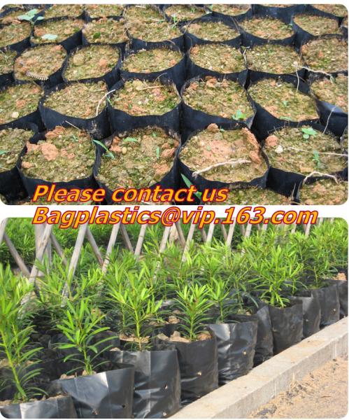Horticulture, Planter, Grow Bag, garden bags, grow bags, hanging plant bags, planter