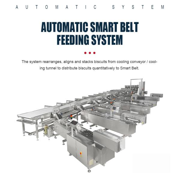 Automatic Smart Belt Feeding System Food Electric Belt Conveyor For Biscuit Product Line