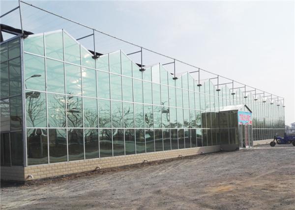 Modern Design Agricultural Glass Greenhouse 3m - 6m Side Height Long Service Life