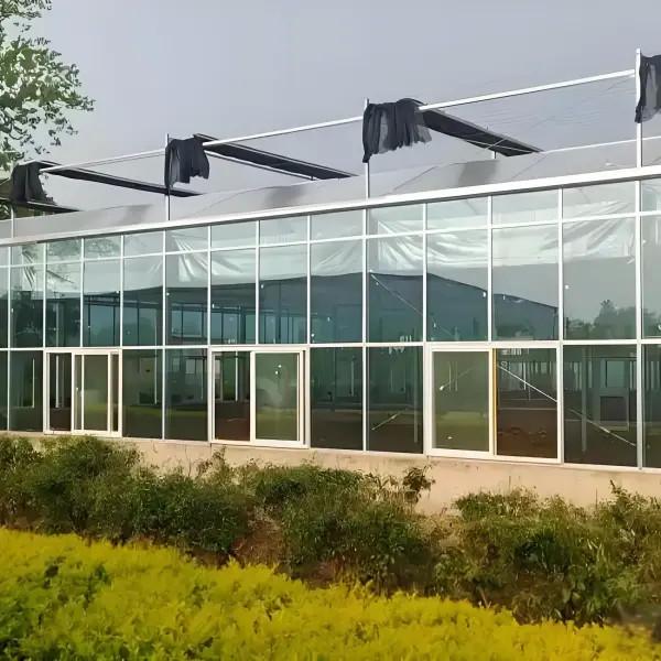 Smart Venlo - tipo invernadero de vidrio con sistema de apertura de ventanas superiores y sistema de fertilización