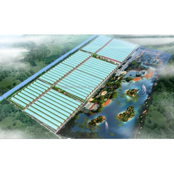 Film Covered Mushroom Cultured Greenhouse for Mushroom Cultivation and Easy Assembly