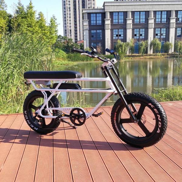 Rust Resistant Chain Electric Assist Mountain Bike Range 31 - 60 Km / Per Power