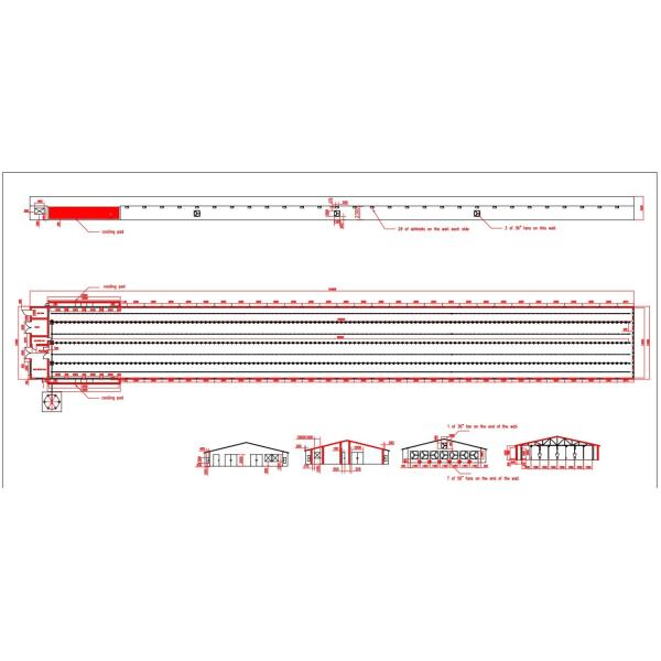 Automatic Chicken House Broiler Poultry Farm Equipment