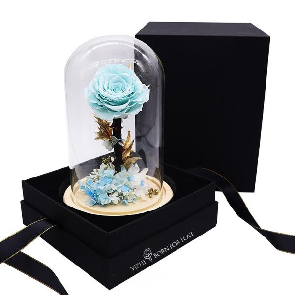 14*14*22CM Preserved Rose Glass Dome