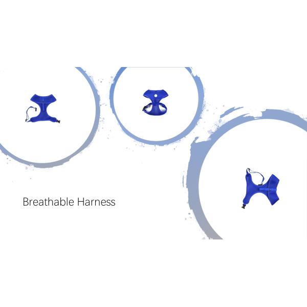 Конструированная проводки собаки логотипа XX пряжка безопасности предохранения от падения небольшой реверзибельная