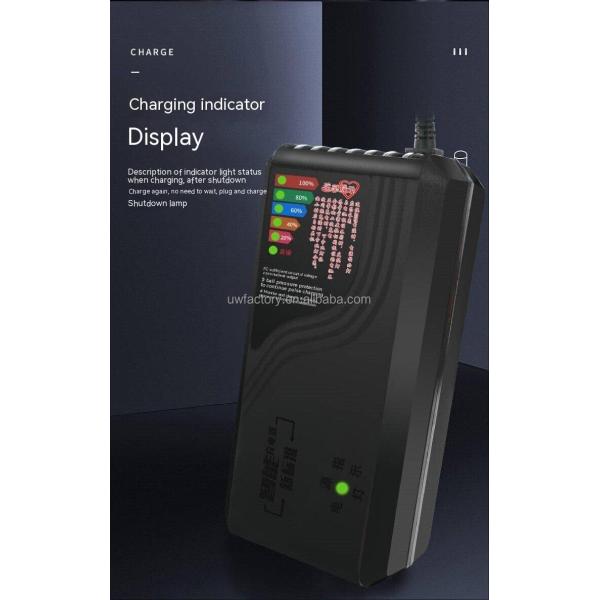 48V 12ah Motorcycle Car Battery Charger Pulse Repair with LCD Charger EU Plug Private Mold