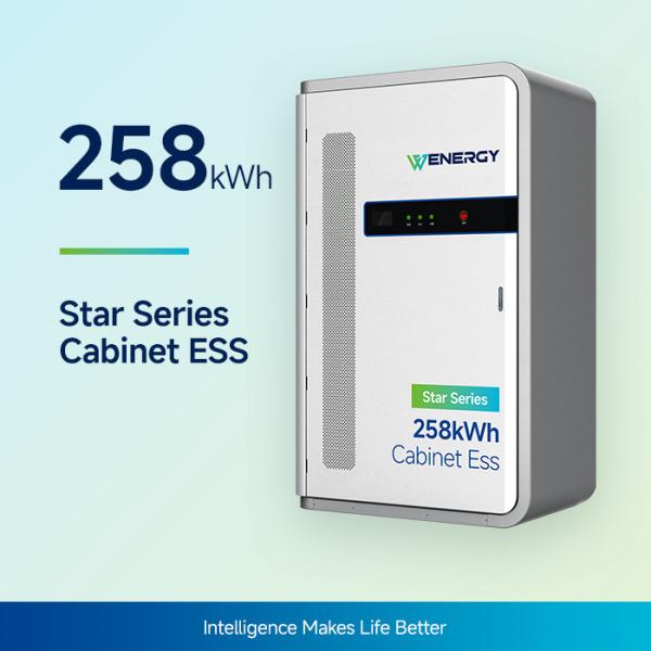 258kWh Commercial & Industrial Energy Storage Cabinet (C4 Corrosion Protection)