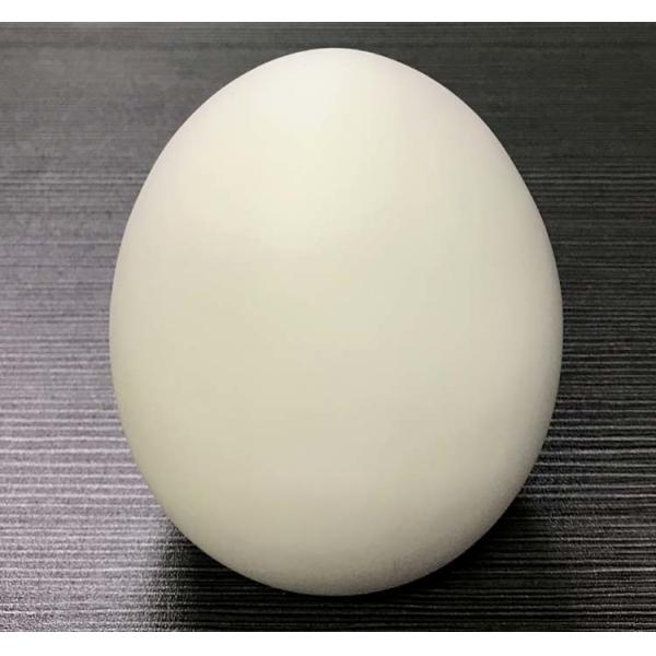 cartoon catoon mini plastic egg  Money Boxs, egg piggy bank, egg saving boxs promotional gifts