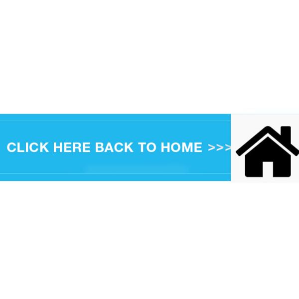 Visench 51.2V 160AH LiFePO4 Литий-ионная батарея для хранения солнечной энергии и 220V 5000W инвертор Все в одном устройстве Солнечные системы