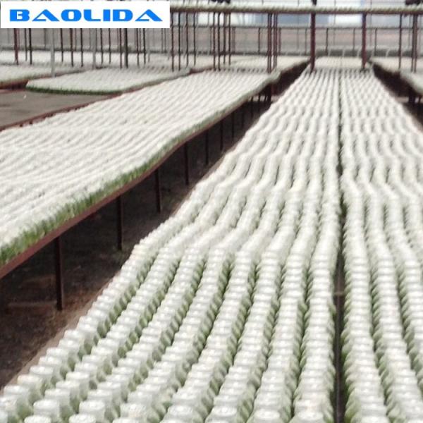 Galvanized Greenhouse Rolling Benches / Greenhouse Benches And Tables