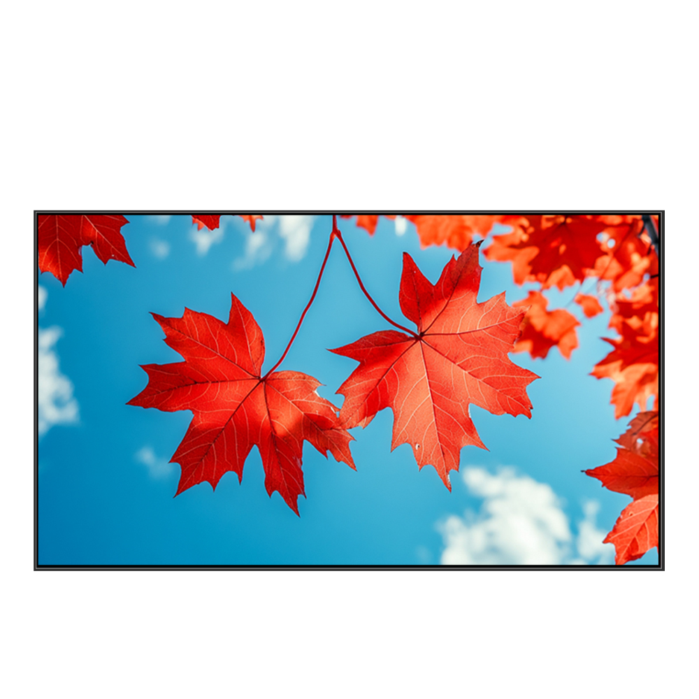 21.5 Inch LCD Capacitive Touch Screen Wall Mounted LCD Advertising Digital Signage