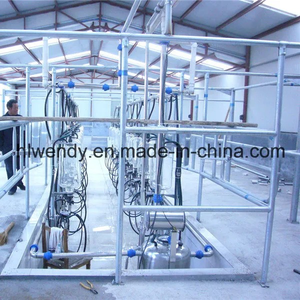 ISO Certified Automatic Cow Milking System with Herringbone Structure and Automatic Cup Remover