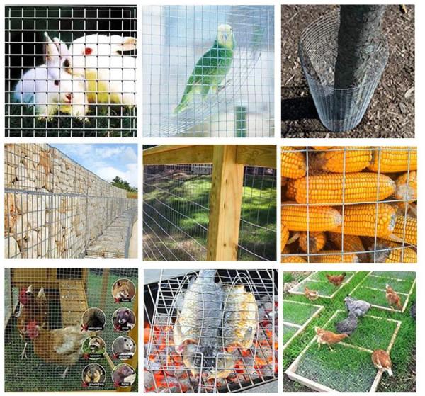 High Performance Welded Wire Mesh Roll , 6x6 Reinforcing Concrete Slab Wire Mesh