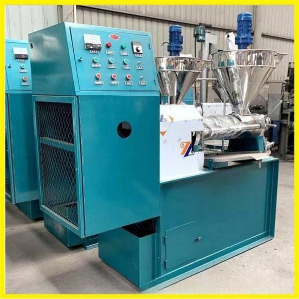 Avocado Oil Press Machine for High Output Screw Pressing Coconut Oil Extraction Types