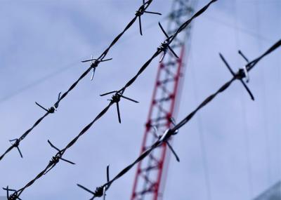 Proteção da construção de bobinas de arame farpado revestidas em PVC/eletrodomésticos