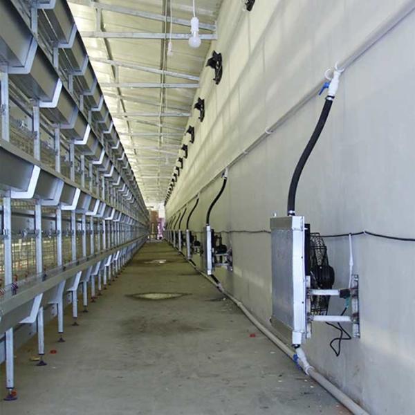 Large Breeding Poultry Exhibition Cages , 120 * 60 * 59CM Chicken Isolation Cage