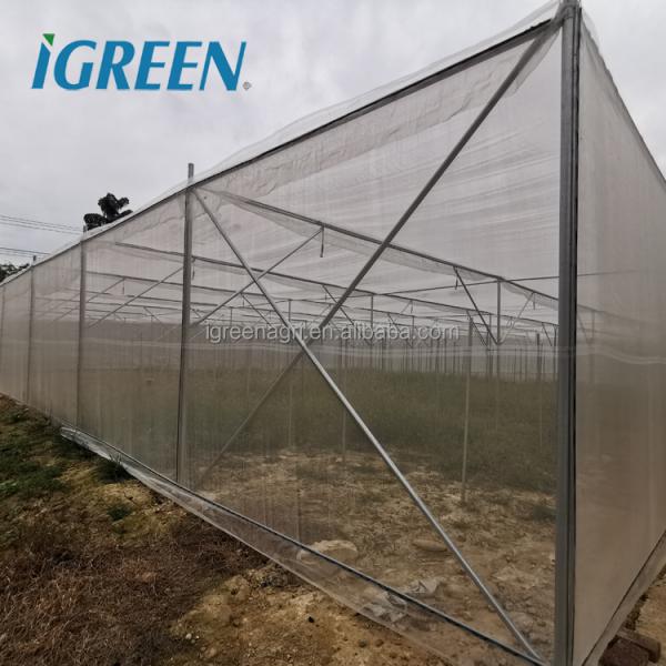 Large Multi-Span Agricultural Greenhouse Bird Net Shade Net Insect Net Farming Equipment