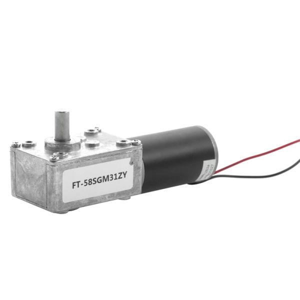 Futeng Factory 5840 12v High Torque Dc Geared  Motors 24v Micro Worm Gear Motor