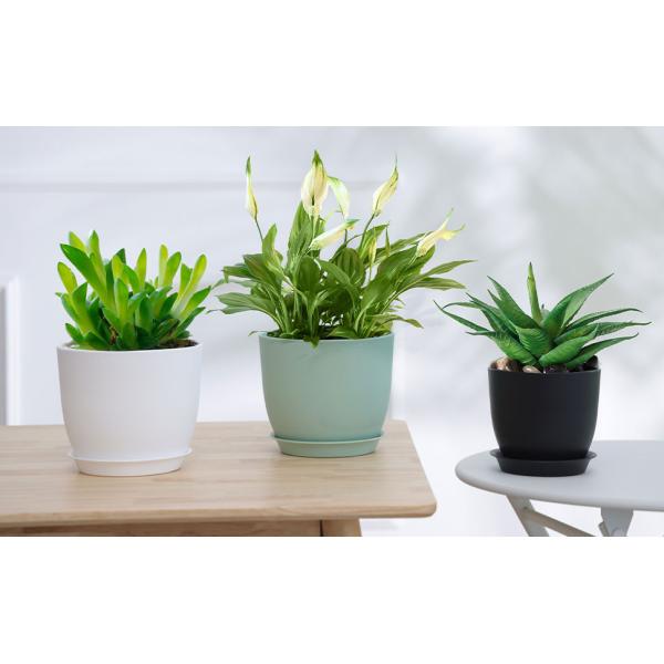 Multi Drainage Holes, Plastic Black Square Plant Flower Nursery Pot, Planter Plant Flower Seedling Nursery Pots