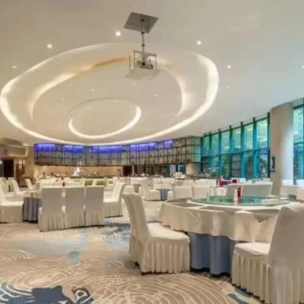 100% Nylon Rectangle Wall to Wall Carpet for Fireproof Commercial Flooring in Hotels