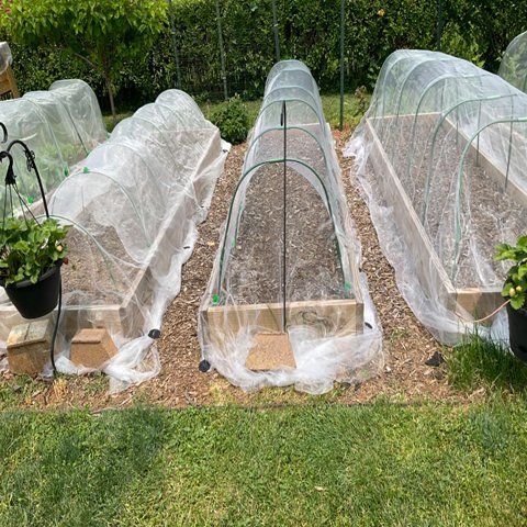 50 Mesh Anti Mosquito Netting Roll For Vegetables Protection