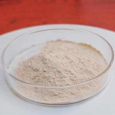 Pepsin Enzyme 3000NF/Mg Pepsin Manufacturers Customized Food Grade Pharmaceutical Grade