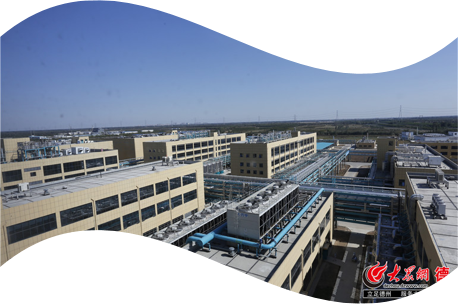 Grade 2 6MM Steel Pipe Fitting 309S 310S Titanium Alloy Pipe Fittings