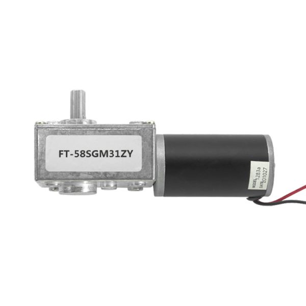 Futeng Factory 5840 12v High Torque Dc Geared  Motors 24v Micro Worm Gear Motor