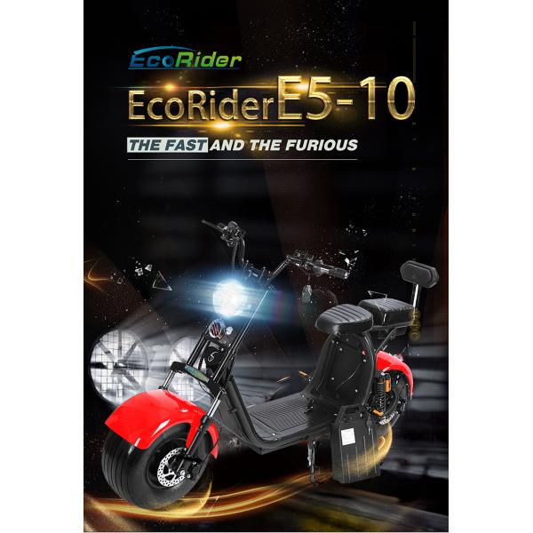 60V 12Ah Motorcycle Two Wheel Scooter Electric Citycoco Removable Battery E5-10