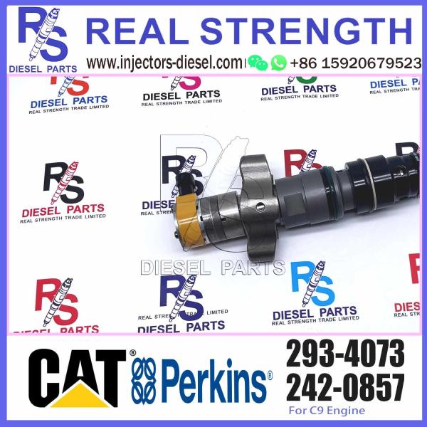 Diesel Pump Injector 387-9432 10R-7223 387-9431 293-4073 For Caterpillar C9 Diesel Engin Common Rail